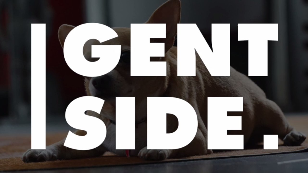 Les chiens auraient plus de risques d'être en surpoids si le maître l'est aussi selon une étude