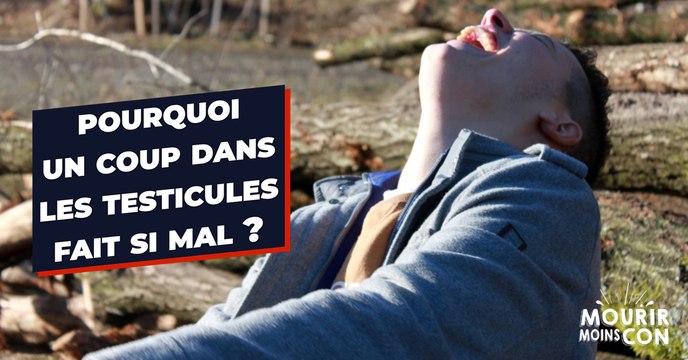 Pourquoi les coups dans les testicules font-ils si mal ?