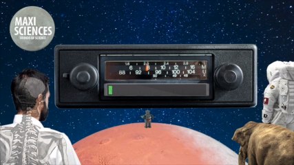 AVC, poussin et automobile, les actus sciences que vous devez connaître ce 3 novembre