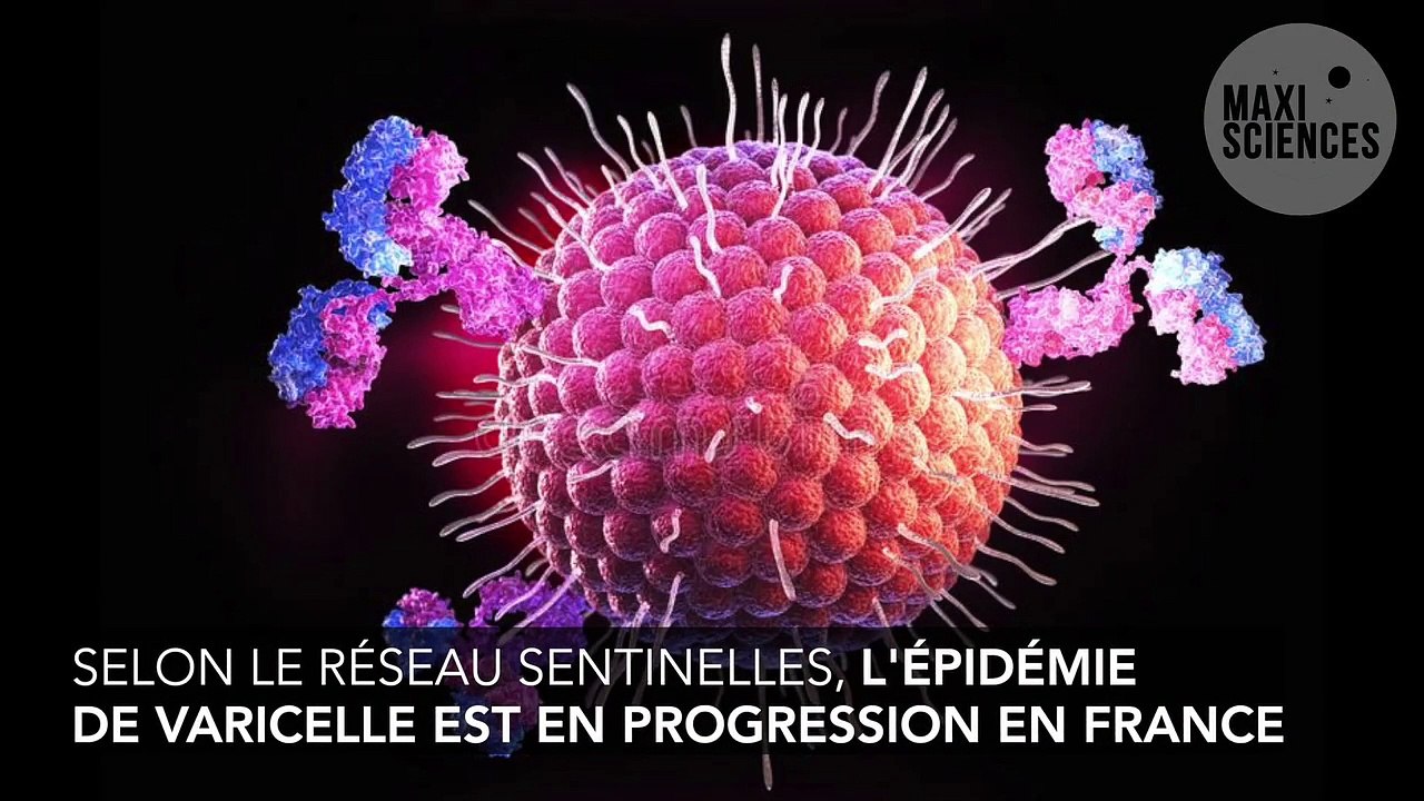 L'épidémie de varicelle fait rage en France, quelles sont les régions les plus touchées ?