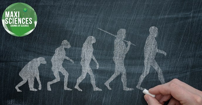 Homo sapiens, Alzheimer et ravioli, les actus sciences que vous devez connaître ce 12 juillet