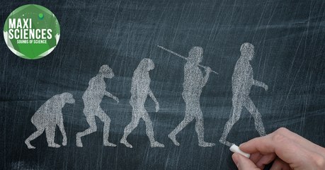 Homo sapiens, Alzheimer et ravioli, les actus sciences que vous devez connaître ce 12 juillet