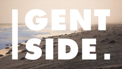 Costa Rica : Les fascinantes images du plus grand rassemblement de tortues marines