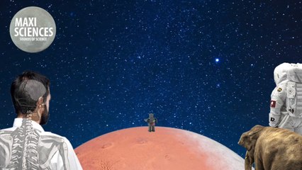 Ibuprofène, papyrus et journée mondiale des animaux, les actus sciences que vous devez connaître ce 4 octobre