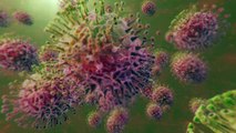 Coronavirus : les effets indirects mais positifs de l'épidémie