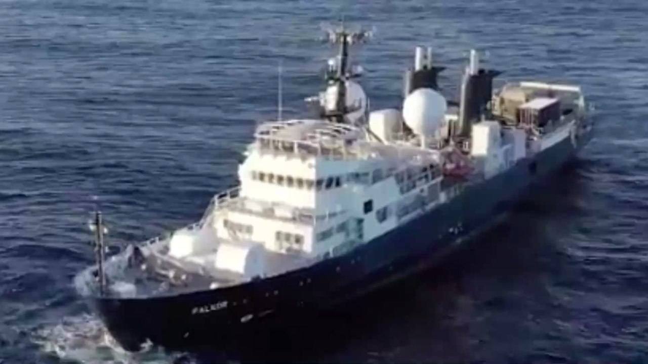 Insolite : le plus grand animal du monde découvert au large de l'Australie