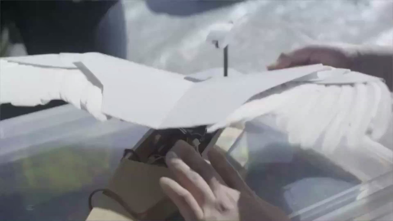 Mi-pigeon, mi-robot : voici Pigeonbot, le premier robot capable de voler comme un oiseau