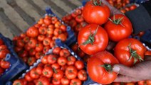 Rusya domatesi ihraç edemedi, semt pazarlarında fiyat 10 TL'ye düştü