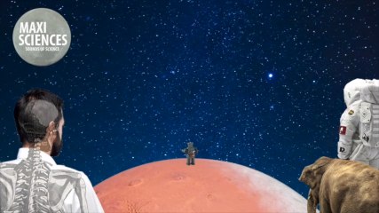 Corail, satellite, et baleine à bosse, les actus sciences que vous devez connaître ce 12 octobre