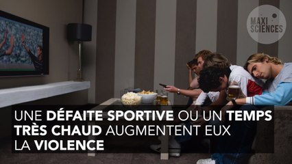 Plus d'éternuements, moins de crimes ? Il existerait un lien entre pollen et la criminalité