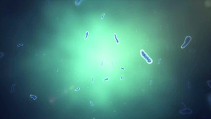 Chine : Des milliers de personnes infectées par une bactérie après la fuite d'une usine biologique