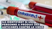 Coronavirus et tests sérologiques : ce qu'il faut savoir en 5 questions