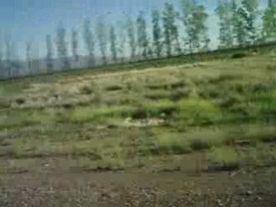 Travel