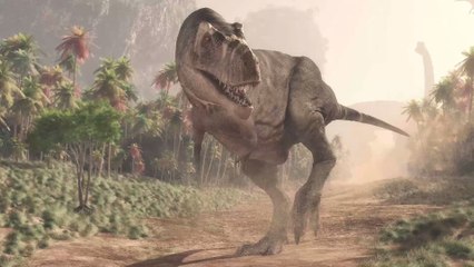 Dinosaures : un spécimen extrêmement rare d'Elaphrosaurus a été découvert en Australie