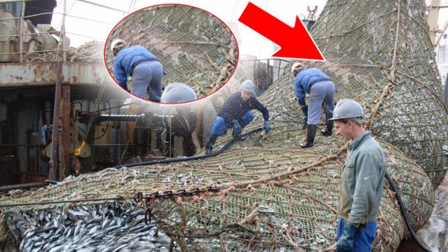Le filet de ces pêcheurs est plein de poissons mais ils ne s'attendaient pas à trouver cet animal dedans