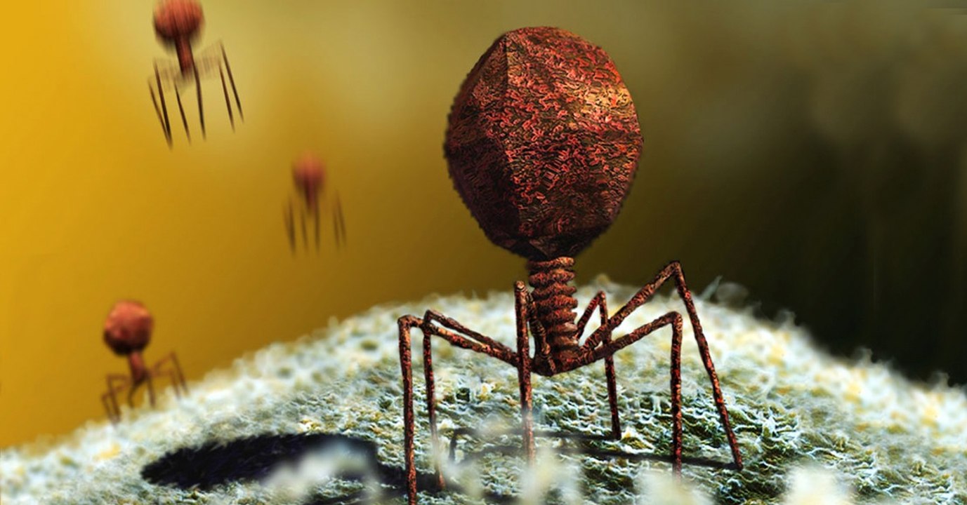 Virus : plus de 140.000 espèces identifiées dans nos intestins