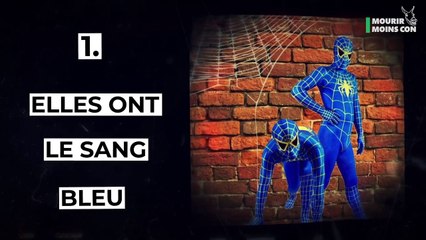 Araignées : Elles s'introduiraient nos maisons à une heure bien précise