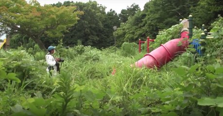 Japon : l'eau contaminée de Fukushima rejetée à la mer, quels sont les risques ?