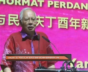 Tangani isu penjualan berus babi secara berhemah - PM