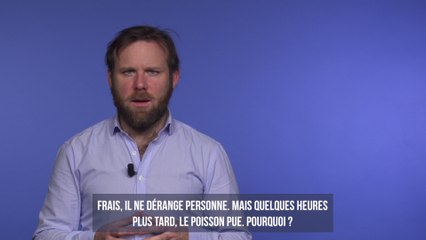 Pourquoi le poisson pue et comment faire partir l'odeur ?
