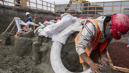 "Mammoth central" : des centaines de squelettes de Mammouths d'origine inconnue découverts au Mexique