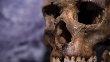 Haute-Garonne : une dent néandertalienne vieille de 70 000 ans découverte dans une grotte