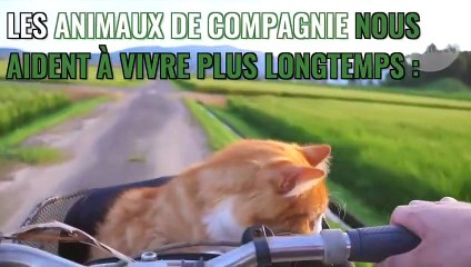 Santé mentale : Les animaux de compagnie, vos meilleurs alliés en cas de reconfinement