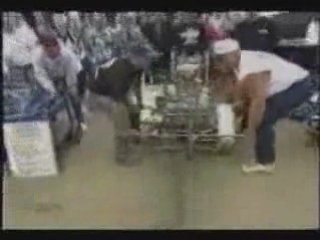 Lachvandedag.nl - Stoere kettingzagen