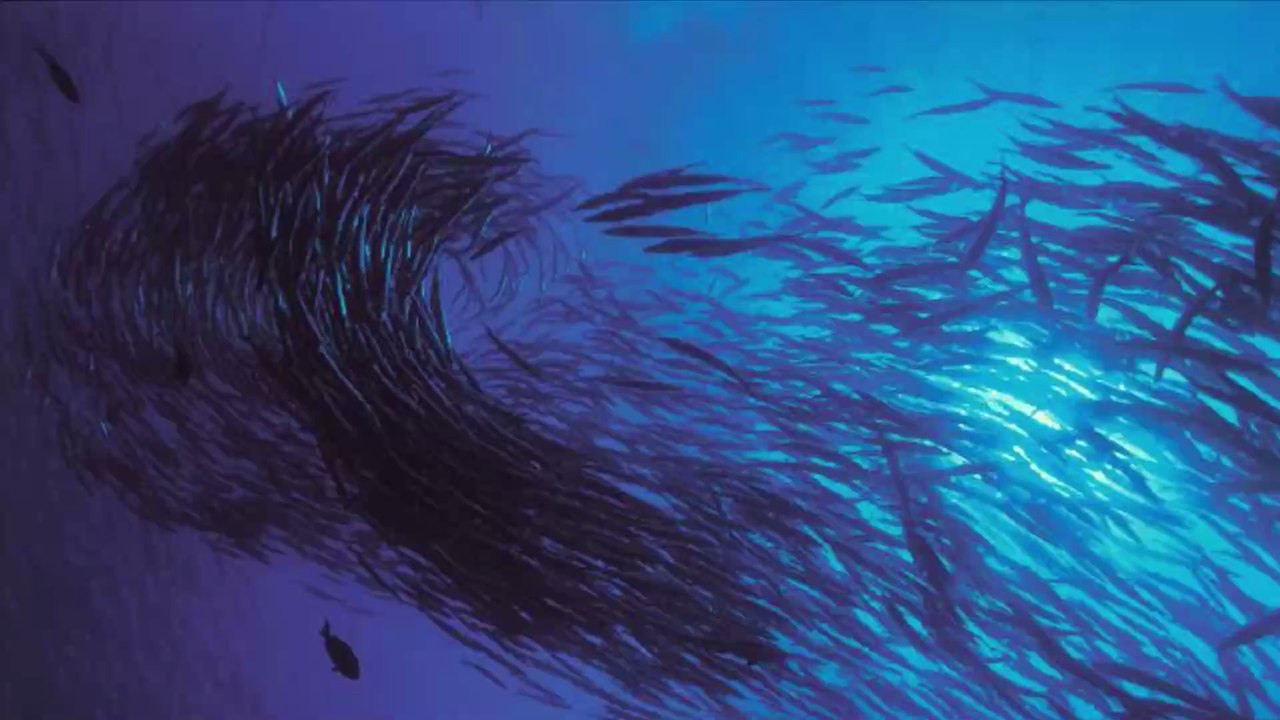 Océans : un sous marin conçu pour livrer des colis et aspirer le plastique