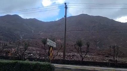 Yanan ormanlık alanlarda sel riskine karşı uzmanlar uyarıyor