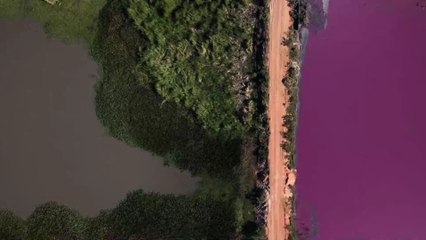 Paraguay : la lagune de Cerro est devenue rose à cause de la pollution