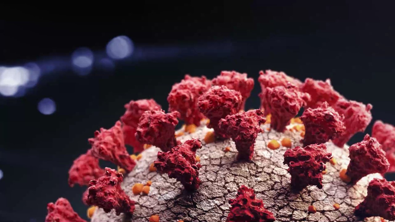 Coronavirus :  la virologue chinoise Li-Meng Yan dit avoir des "preuves" que le Covid-19 a été fabriqué dans un laboratoire à Wuhan