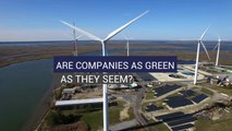 Are Companies as Green as They Seem?