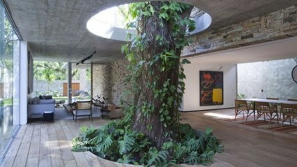 13 fois où l'Homme a vraiment respecté le travail de la nature (vidéo)