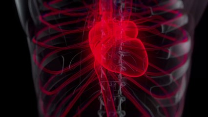 Voici 3 gestes simples pour améliorer considérablement la santé de notre cœur