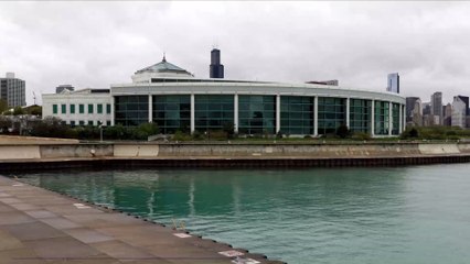 Comportement animal : les notions d'héritage et de classes existent aussi chez les animaux