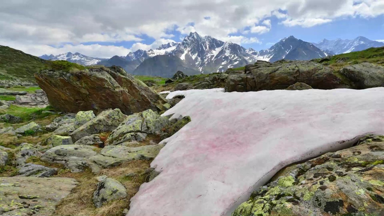 Climat : des chercheurs français ont modélisé à quelle vitesse fondent les glaciers
