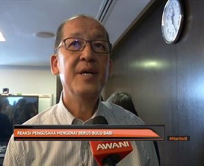 Reaksi pengusaha mengenai berus bulu babi