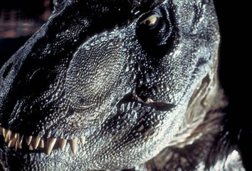 Des chercheurs suggèrent que le Tyrannosaurus avait 3 espèces distinctes