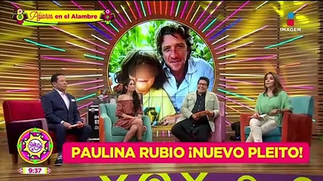 ¿Colate le exige a Paulina Rubio la custodia de su hijo?