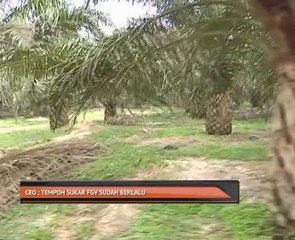 CEO: Tempoh sukar FGV sudah berlalu