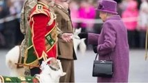 Explication du cadeau traditionnel de la reine aux soldats le jour de la Saint-David