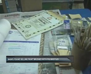 Shops found selling pig-bristle paint brushes