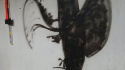 Un dessin d'une étrange silhouette remue le web, saurez-vous la retrouver