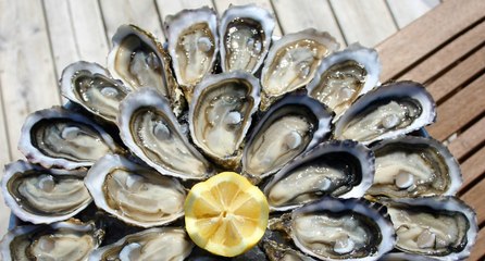 Intoxications alimentaires : les 6 aliments qui rendent le plus souvent malade