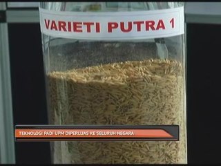 Teknologi padi UPM diperluas ke seluruh negara