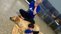 Cette femme fond en larmes quand elle voit ce que ce chien a fait à son fils autiste