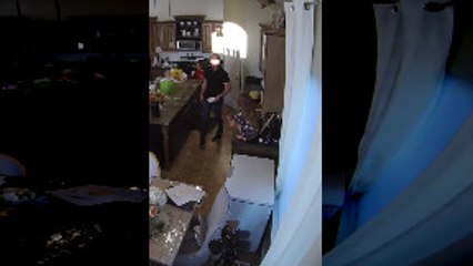 Dad Strength and Reflexes Save Daughter Falling From Countertop