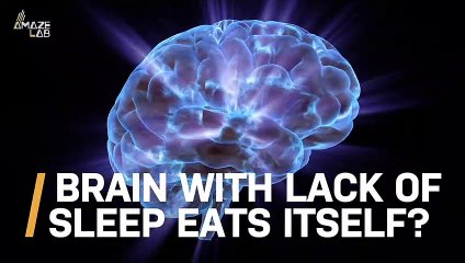 Chronic Sleep Deprivation Could Lead The Brain to Start Eating Itself