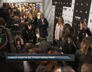 Samantha Bee to roast Donald Trump